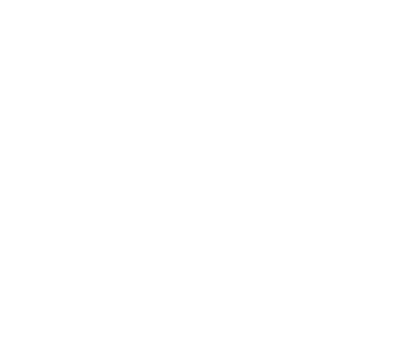 north carolina logo