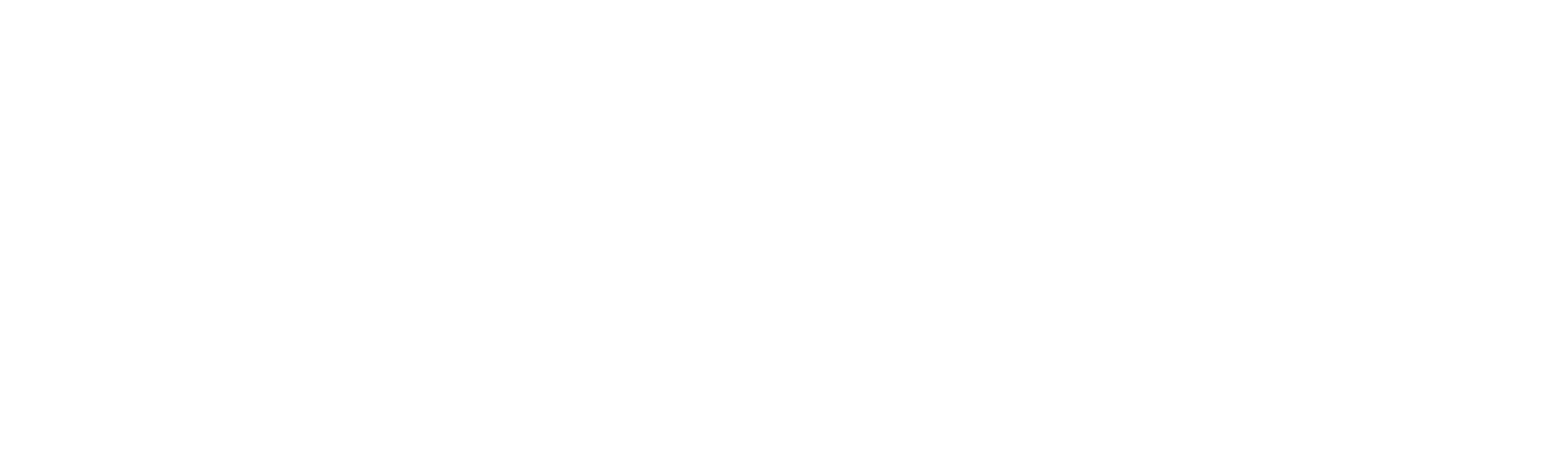 discover south carolina logo
